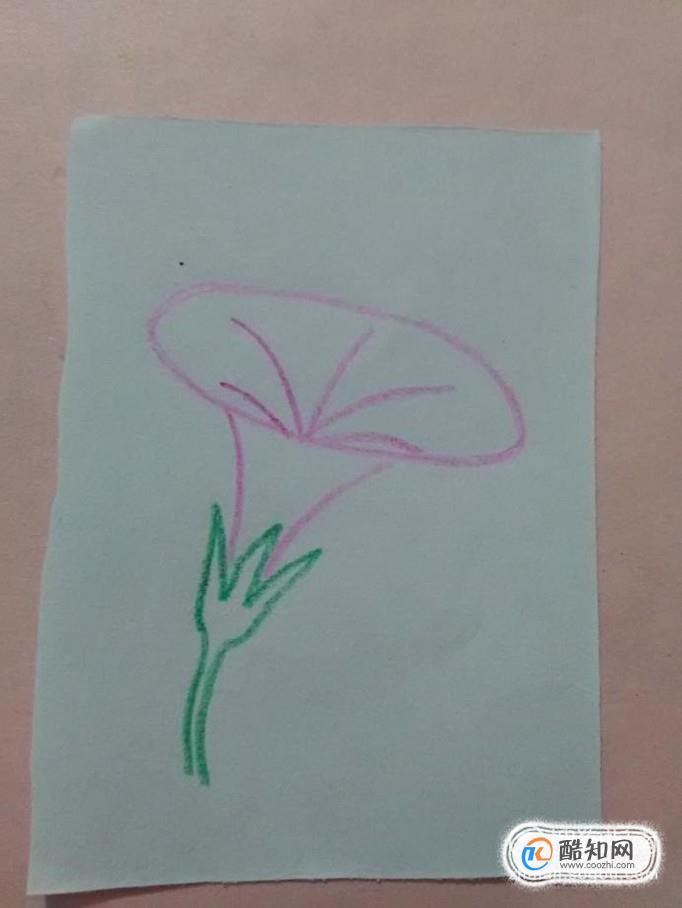 用彩笔画花朵的轮廓,简单又好看,下面就来画一朵好看的牵牛花.