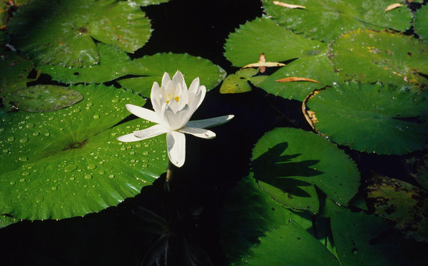 夏天去莱芜穿衣指南