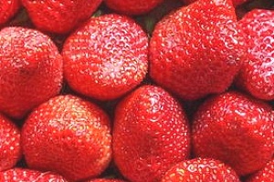 草莓是凉性还是热性？