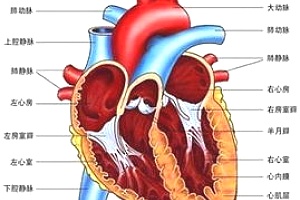风湿性心脏病该怎么治疗？