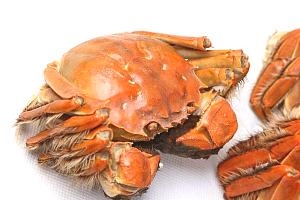 大闸蟹不能和什么食物一起吃？