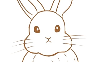 简笔画可爱小白兔的画法？