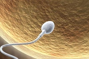 精子在体内存活多久？