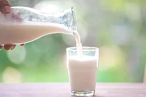 每天一杯牛奶对血脂有什么影响呢非常建议高血脂患者看看